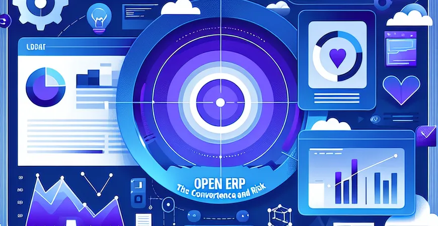  ERP开放接口：集成的便利与风险